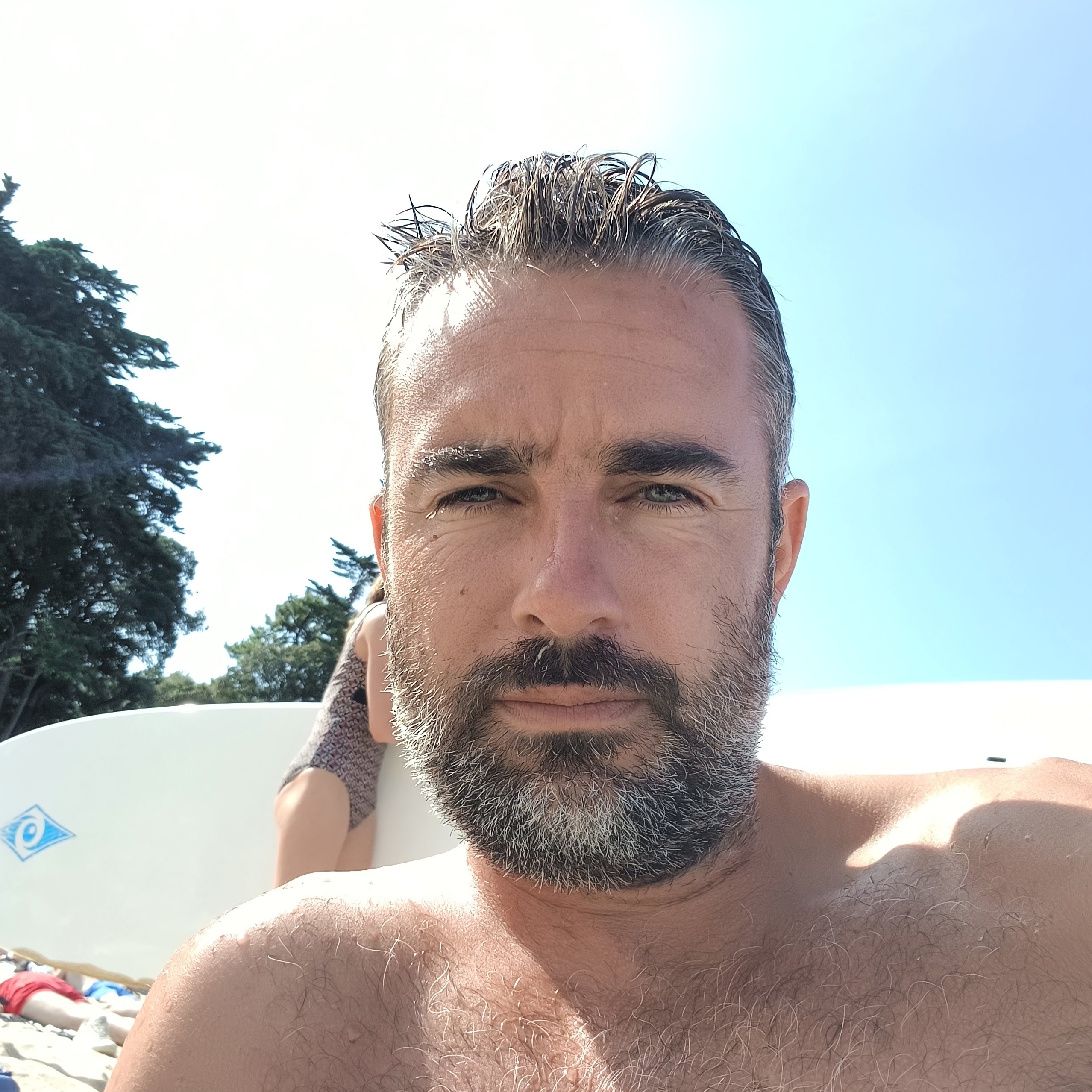 Perfil de Landy